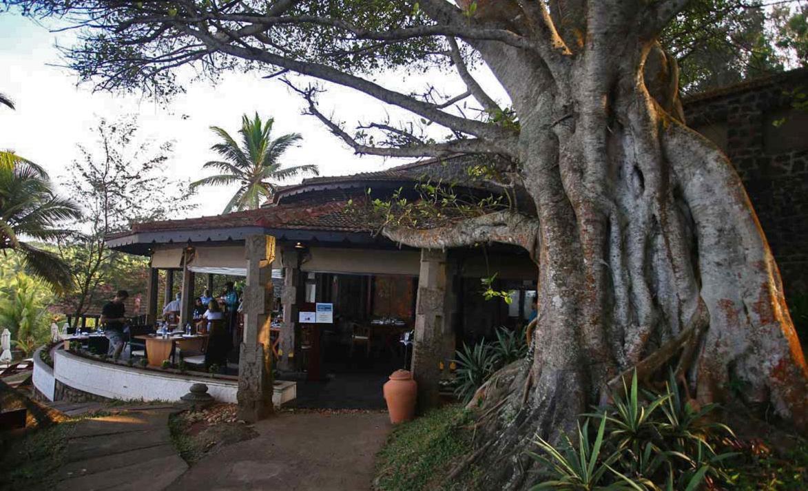 Niraamaya Wellness Retreats, Surya Samudra, Kovalam Exterior photo