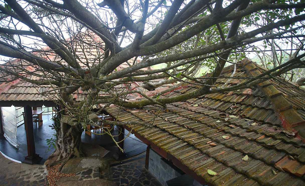 Niraamaya Wellness Retreats, Surya Samudra, Kovalam Exterior photo